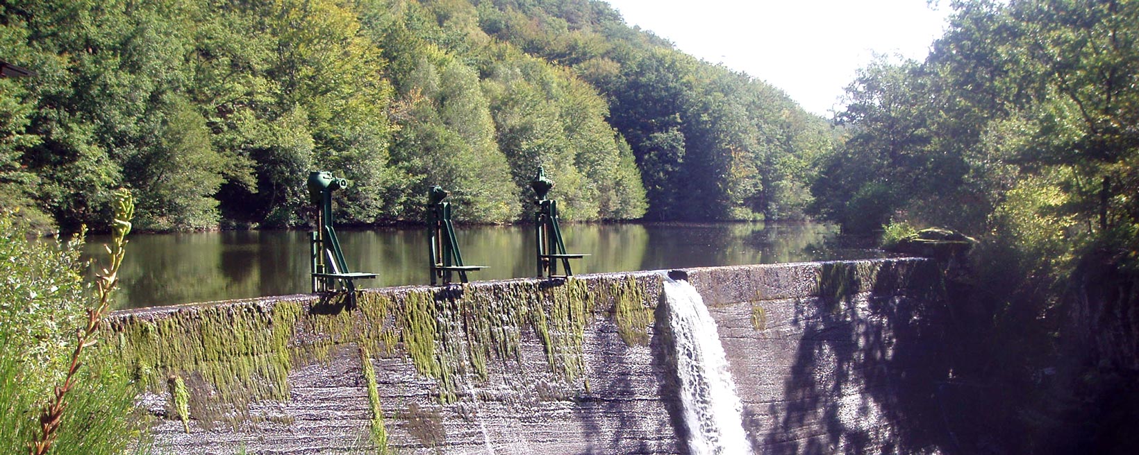 Les énergies renouvelables